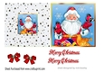 Lovely santa with little birds 5X5 quick cut and fold