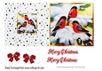 Lovely little birds in the snow 5X5 quick cut and fold