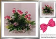 Pretty pink roses arragements in planter 8x8