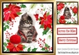  cute kitten in santa hat with red poinsettias  8x8