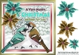 pretty winter birds with coloured poinsettias 8x8 (four)