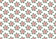 Pretty pink poinsettia (small) backing paper