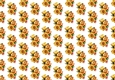 Pretty shades of yellow roses backing paper (small)