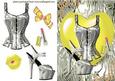 Gorgeous Silver Basque & Shoe in Fantasy Colours Yellow