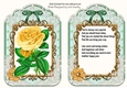 2 pretty yellow rose on lace /bow topper with verse