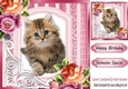 fancy pink lace ornate corner card front 8x8 with kitten & roses