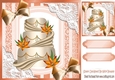 Pretty lace corners with orange cake and bows 8x8