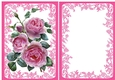 pretty pink roses with insert in ornate A5 frame