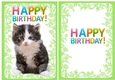 My little black and white kitty A5 with insert (green)