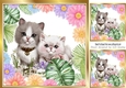 kittens in a garden of flowers 8x8