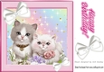 Kittens cuddling with corner white diamante bows 8x8