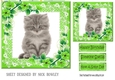 Green lace frame with flowers and a kitten 7x7