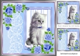 cute white kitten with blue roses and lace 8x8 window card
