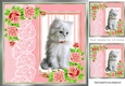 cute white kitten with peach roses and lace 8x8 window card