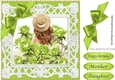Pretty with lime roses and bow 8x8