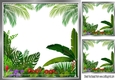  jungle frame card front/insert 8x8 