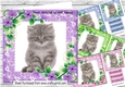 4 coloured lace frames with flowers and kittens 7x7 card front mini kit
