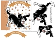 playful black/white dog 7x7, card front