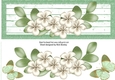 Pretty white border of flowers with butterflies DL
