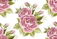 Pretty Pink Roses with Gyps backing paper (Big)