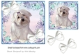 Blue Floral 7x7 card front with a cute westie