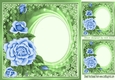 pretty blue roses with oval centre and lace 8x8