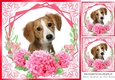 red flowers ornate card front/insert 8x8 with a puppy