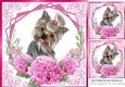 pink flowers ornate card front/insert 8x8 with a puppy