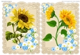 Two Pretty A5 Vintage Ecru lace Toppers with Sunflowers