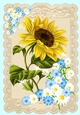 Pretty A4 Vintage (Big) Ecru lace Topper with a Sunflower (one)