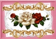 Pretty red/cream roses on lace A4 Ornate Card Big