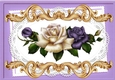 Pretty purple/cream roses on lace A4 Ornate Card Big