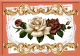 Pretty peach/cream roses on lace A4 Ornate Card Big