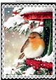 Pretty Robin in the snow A4 Black lace frame