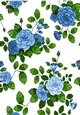 Pretty shades of blue roses backing paper