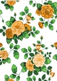Pretty shades of peach roses backing paper
