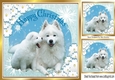 Lovely White Puppies in snowscene 8x8