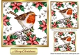 Pretty Robin on a branch in poinsettia card frame 7x7