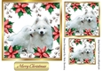 cute white puppies in poinsettia card frame 7x7