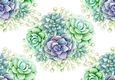 pretty succulent flowers (Big) Backing paper pretty shades