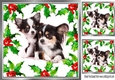 Lovely Holly and red berry card front with chihuahuas