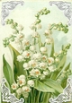 Lovely Vintage Lily Of The Valley A4