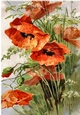 Beautiful Red Poppies A4