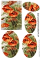 Beautiful Red Poppies Oval Pyramids
