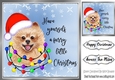 Cute little dog in santa hat 8x8 (one)
