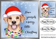 Cute little dog in santa hat 8x8 (three)