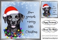 Cute little dog in santa hat 8x8 (six)
