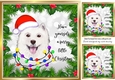Holly and red berry 8x8 frame with dog(one)