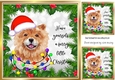 Holly and red berry 8x8 frame with dog (two)