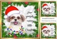 Holly and red berry 8x8 frame with dog (three)